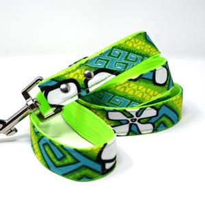 May include: A green, blue, and white patterned dog leash with a silver clip.
