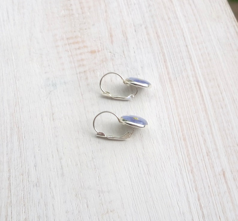 Forget me not earrings Terrarium pressed flower earrings