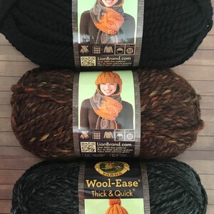 Dream Catcher Lion Brand Wool Ease Thick and Quick Yarn Skein Super Bulky  Multi Colored 