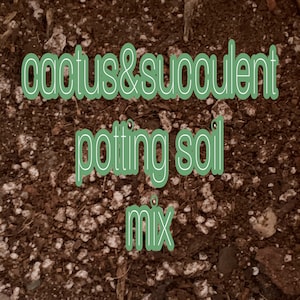 Succulent + Cactus Soil Mix
