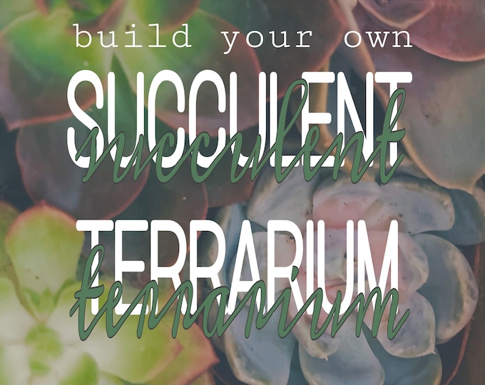 DIY Succulent Terrarium Kit