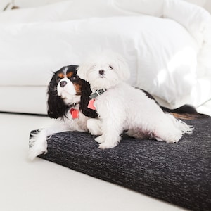 Modern Orthopedic Dog Bed, Washable Pet Bedding