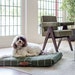 see more listings in the Grid Dog Beds section