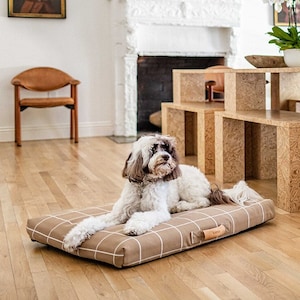 May include: A white dog with brown eyes lies on a brown and white plaid dog bed in a modern living room with a wooden table and chairs. The room has large windows and a fireplace.