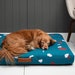 see more listings in the Terrazzo Dog Beds section