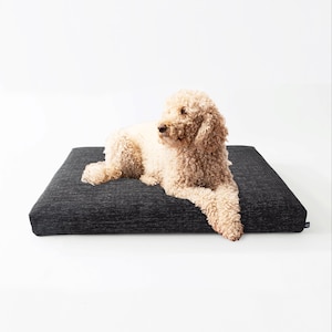 May include: A light brown dog laying on a black and gray rectangular dog bed.