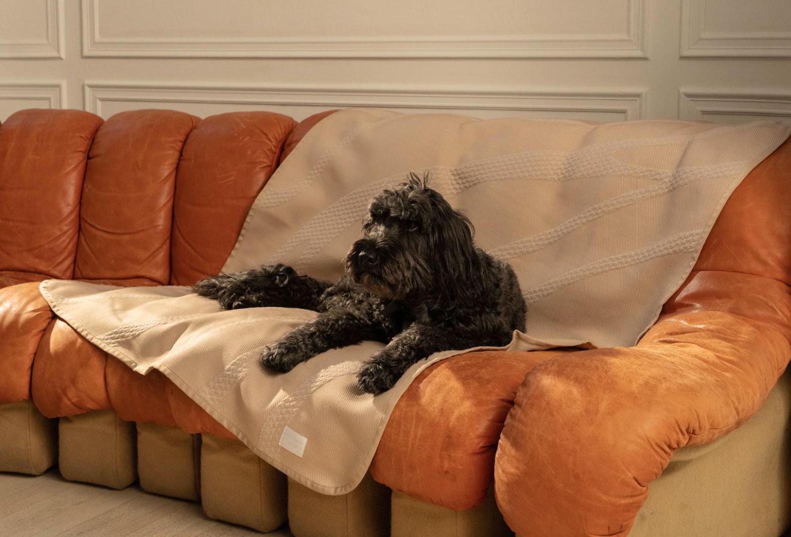 Brigette Romanek Collaboration Modern Pet Blanket, Neutral Throw Soft & Durable