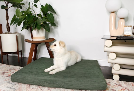 Modern Sage Orthopedic Dog Bed, Machine Washable Cover