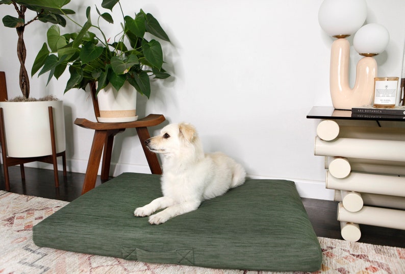 Modern Orthopedic Dog Bed, Laylo Dog Bed, Sage Dog bed