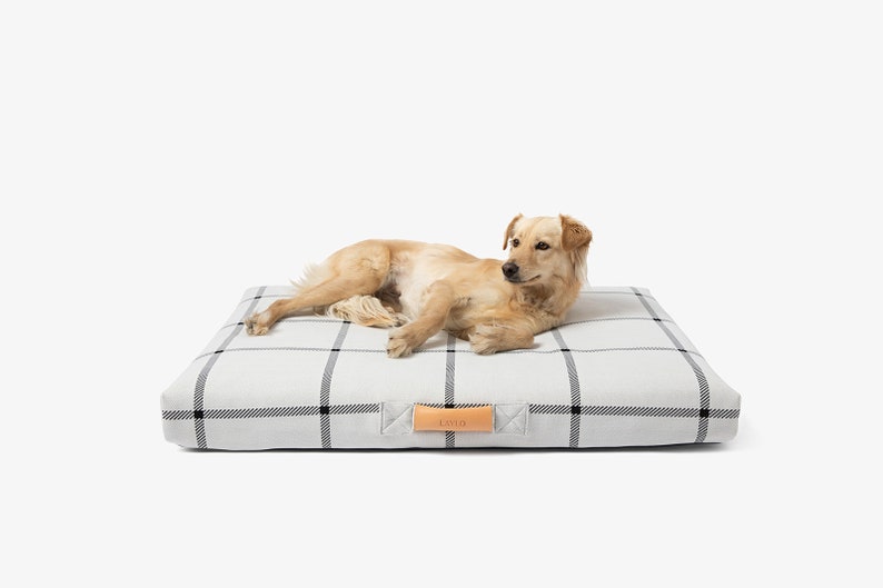 May include: A light-colored dog rests on a square dog bed. The bed has a white background with a black plaid pattern. A leather tag with the word "Lotto" is attached to the bed.