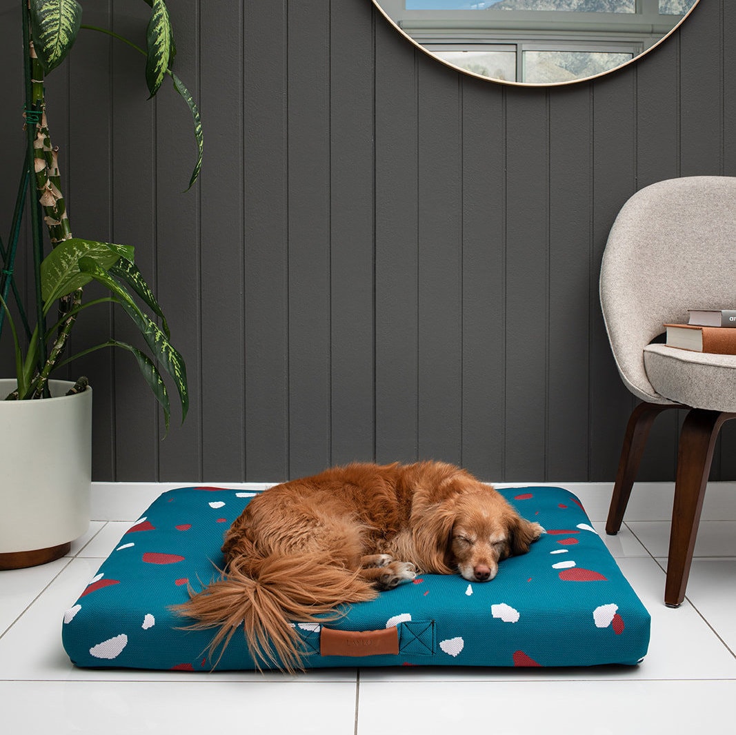 Terrazzo Orthopedic Dog Bed, Washable Dig-Proof Cover