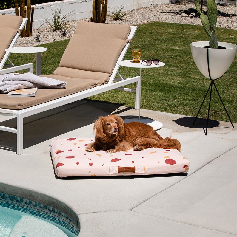 Modern Orthopedic Dog Bed Laylo Terrazzo Dog Bed Large Dog Etsy