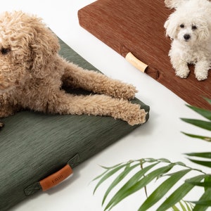 May include: Two dogs relaxing on their beds. A light brown dog is lying on a green bed with a brown leather tag that says "LAVIO". A white dog is lying on a brown bed with a brown leather tag that says "LAVIO".
