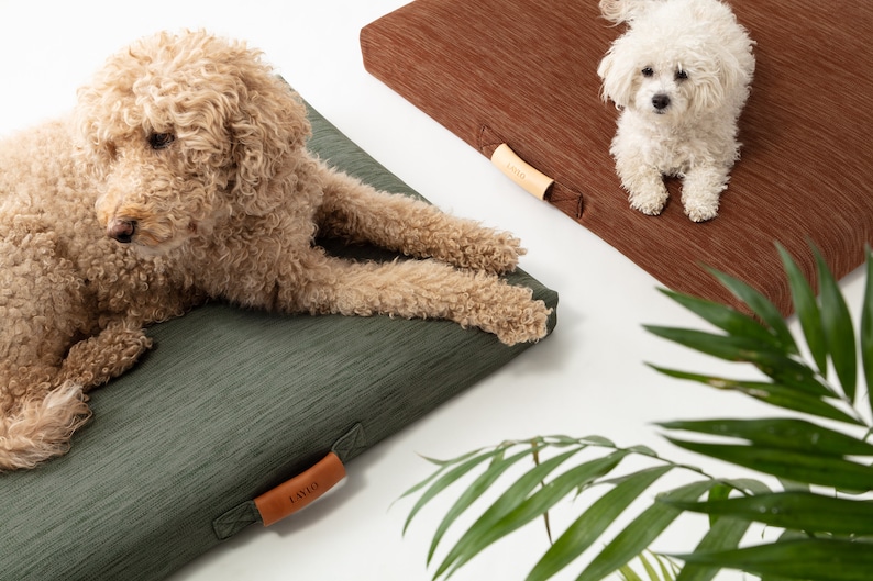 Modern Orthopedic Dog Bed, Laylo Dog Bed, Sage Dog bed