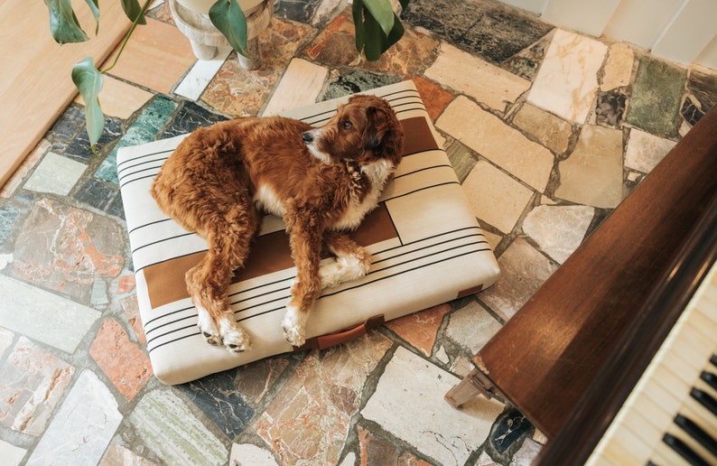 John Legend Creator Collab: Modern Dog bed and Washable Cover image 2