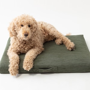 Modern Orthopedic Dog Bed, Laylo Dog Bed, Sage Dog bed