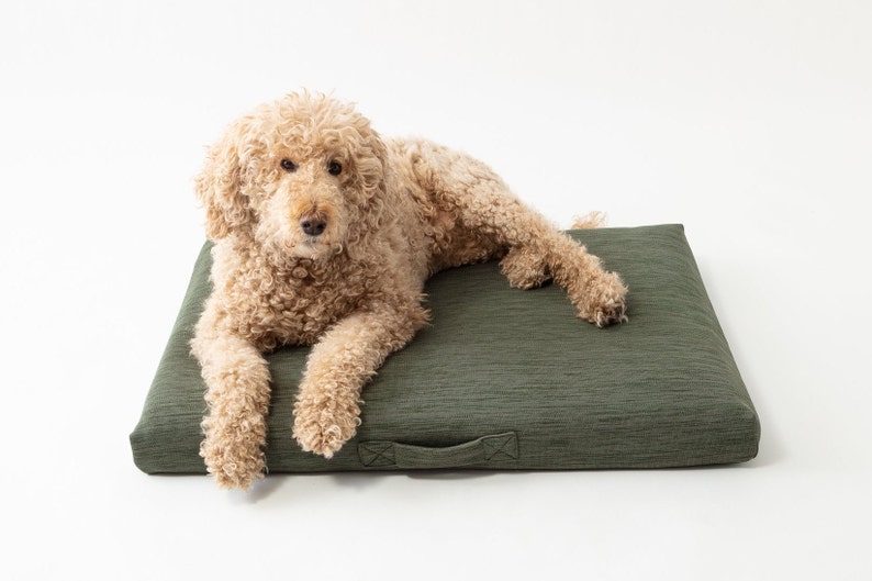 Modern Orthopedic Dog Bed, Laylo Dog Bed, Sage Dog bed