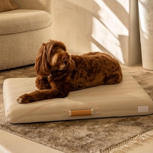 May include: A brown dog lying on a beige rectangular dog bed with a brown leather handle. The bed is on a brown rug with fringe.