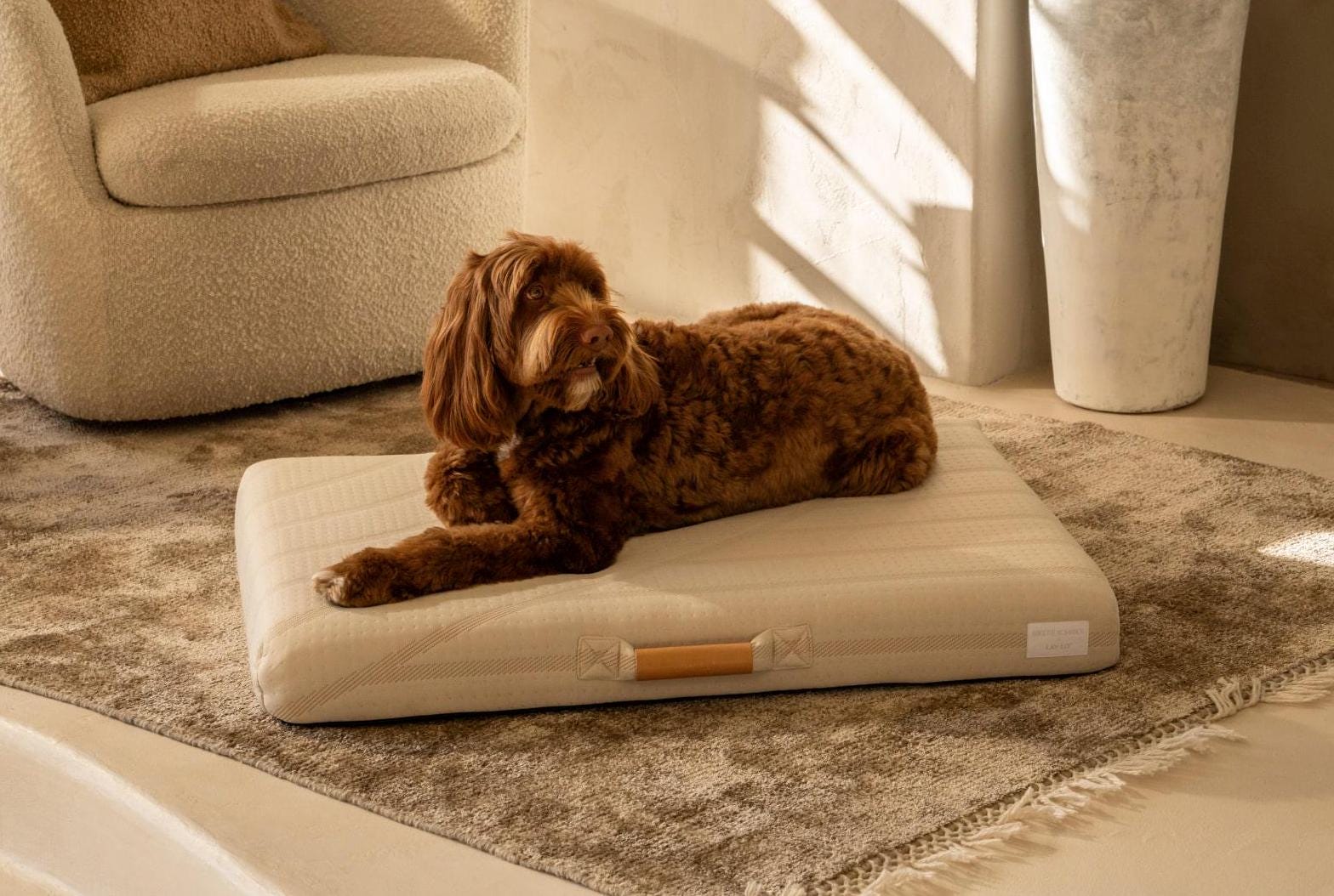 Brigette Romanek Cream Dog Bed Modern Orthopedic Pet Mattress
