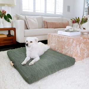 Modern Orthopedic Dog Bed, Laylo Dog Bed, Sage Dog bed