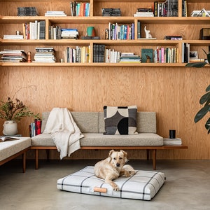 May include: A cozy living room scene with a dog resting on a plaid dog bed. The room features a wooden bookshelf filled with books, a neutral-toned sofa, and a large potted plant. A throw blanket and decorative pillow add to the inviting atmosphere.