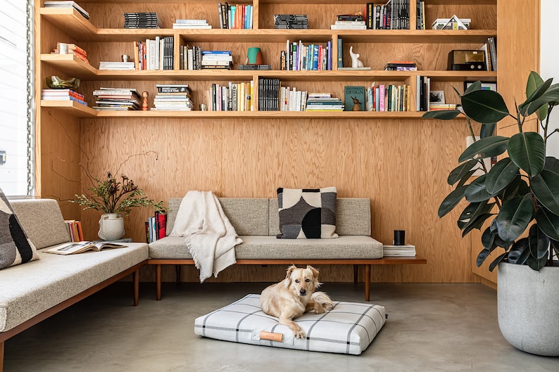 May include: A cozy living room scene with a dog resting on a plaid dog bed. The room features a wooden bookshelf filled with books, a neutral-toned sofa, and a large potted plant. A throw blanket and decorative pillow add to the inviting atmosphere.