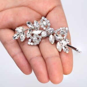 May include: A silver hair clip with a floral design featuring clear rhinestones. The clip is in the shape of a branch with leaves and flowers.