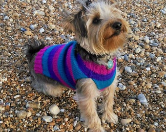 striped dog jumper
