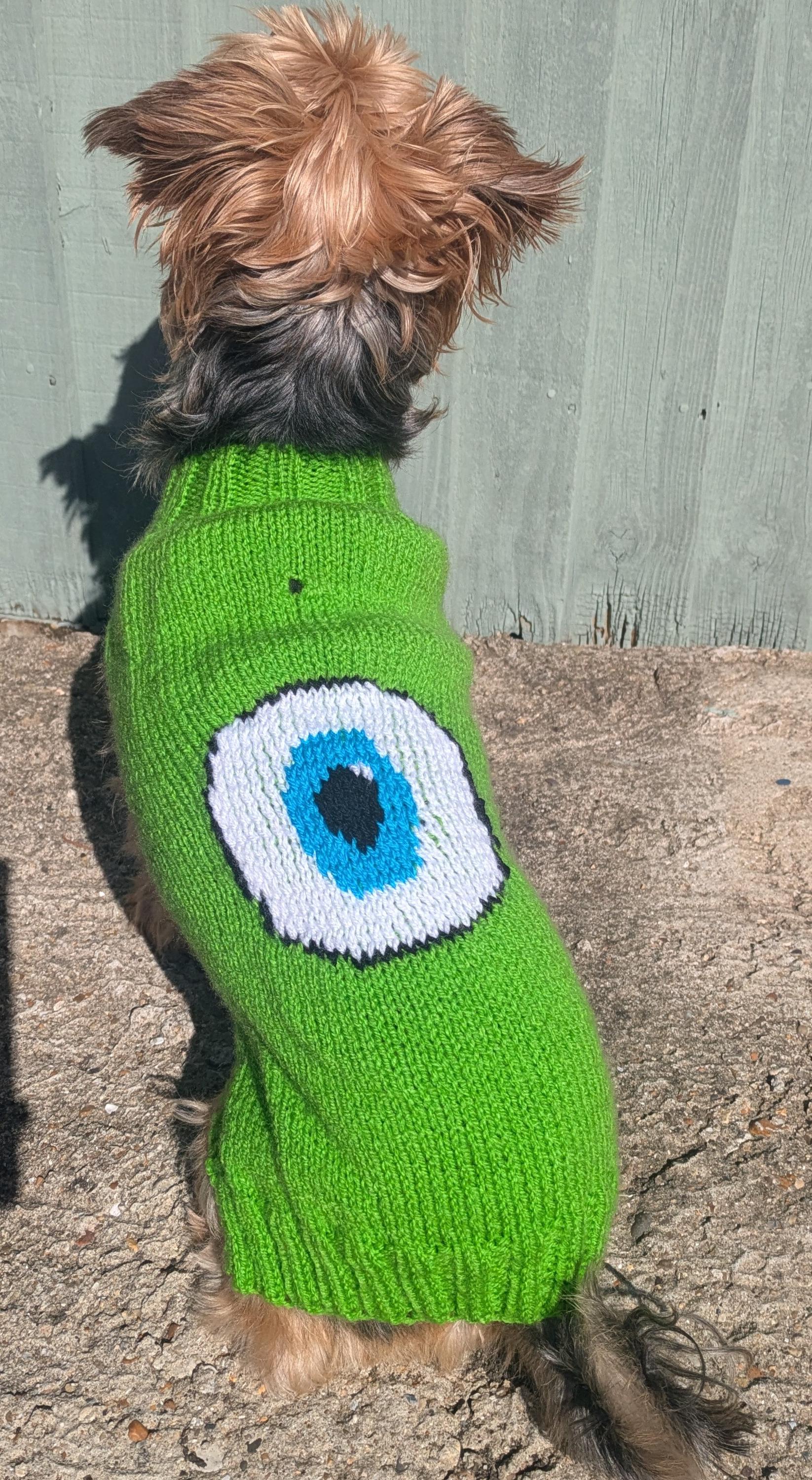 Disney Pixar Monsters Inc Mike Inspired Dog Jumper XS-XXL *with or Without  Harness Hole* - Etsy UK