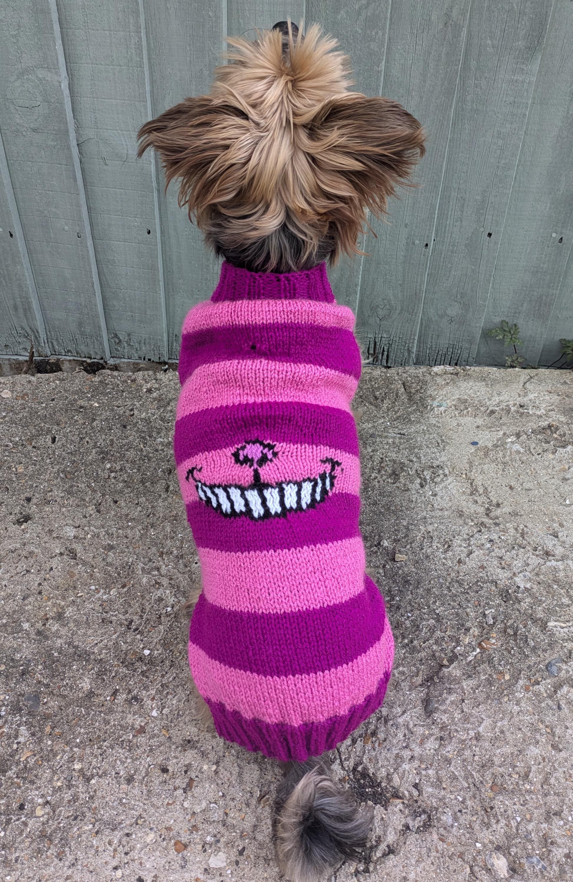 Disney Cheshire Cat Alice in Wonderland Inspired Dog Jumper XS-XXL