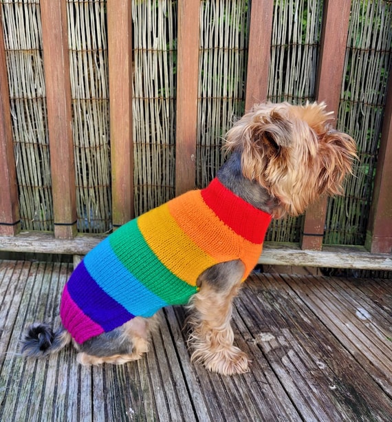 Rainbow Stripe Dog Jumper with or Without Harness Hole Hand