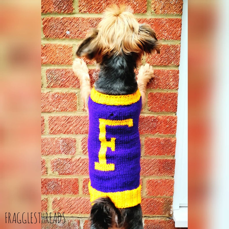 Personalised Dog Jumper Choose Letter and Colours XS-XXL over 30 colours with or without harness hole image 2