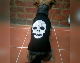 May include: A black knitted dog sweater with a white skull design. The sweater is on a small dog.