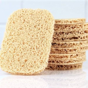 Soap Riser, Soap Dish, Soap Holder, Soap Rest, Shower Accessories, Bath Supplies, Shower Supplies, Velvet Bubble Shop