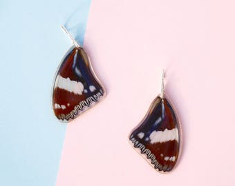 Real Butterfly earrings/ Hypolimnas Dexithea/ White stripe Real preserved laminated resining Butterfly Ear Dangles/ 925 sterling silver/