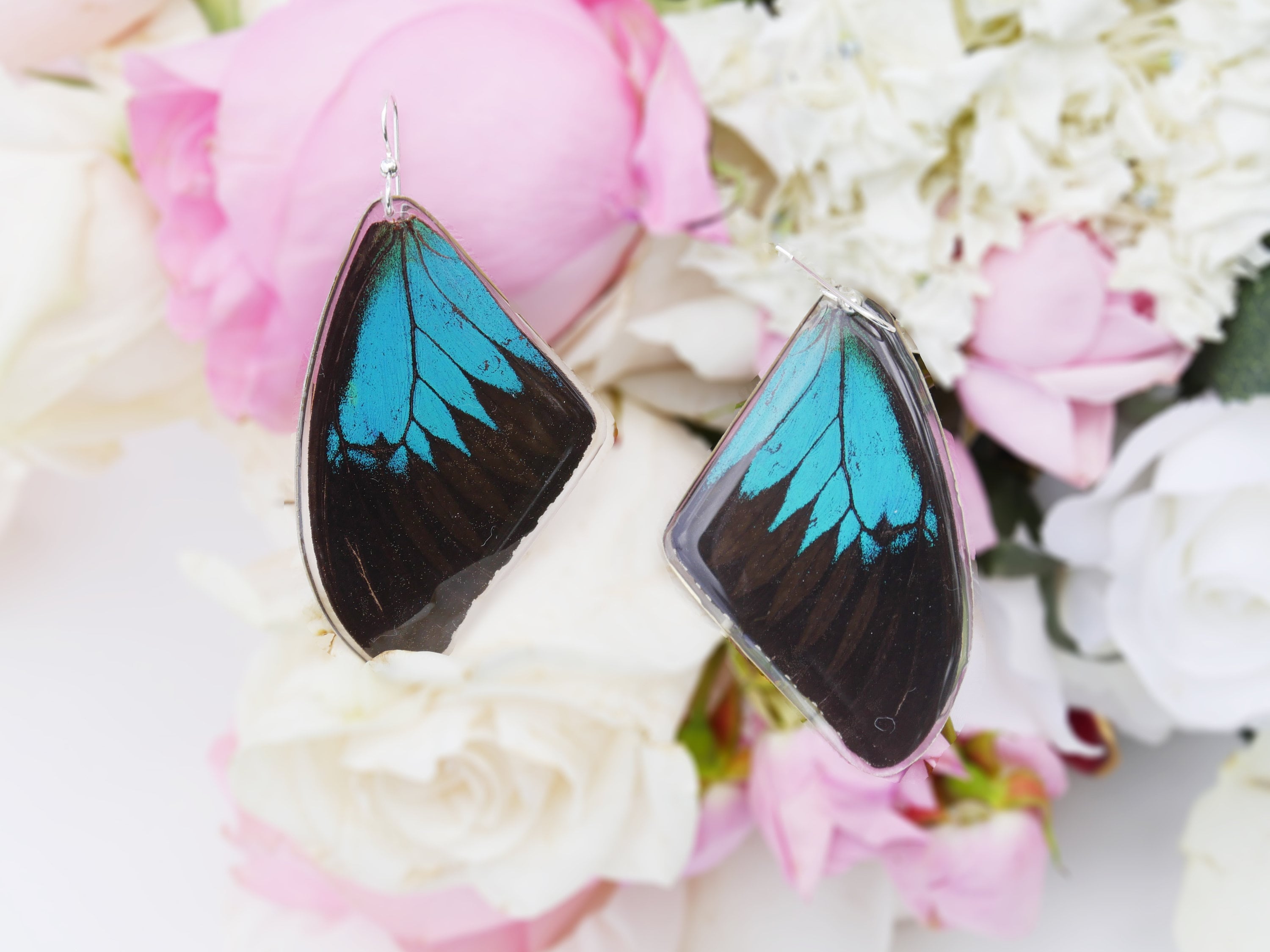 Real Butterfly earrings Real preserved laminated resining Butterfly Ear Dangles 925 sterling silver butterfly design