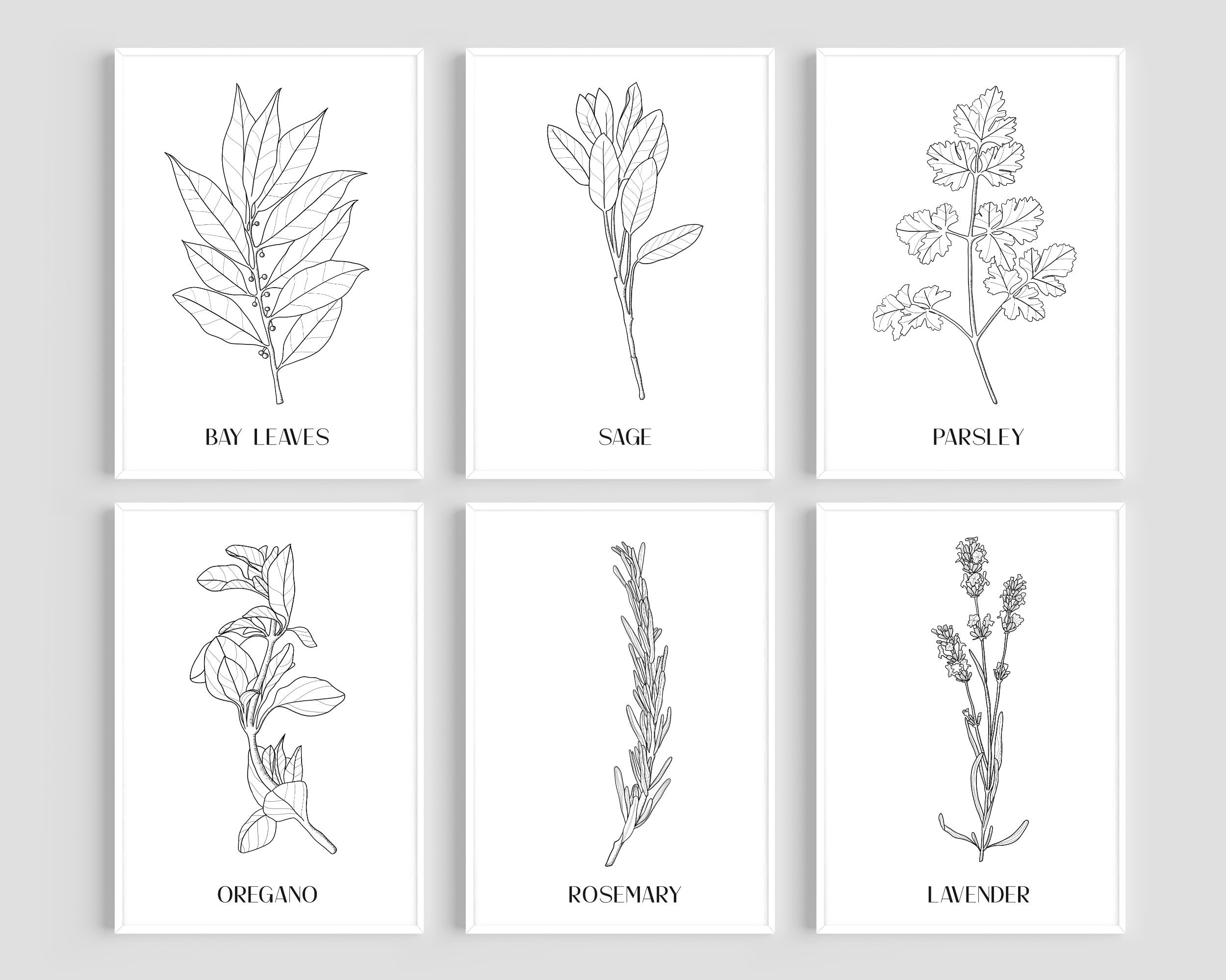 Set of 6 Herb Prints Printable Kitchen Art Kitchen Herb - Etsy
