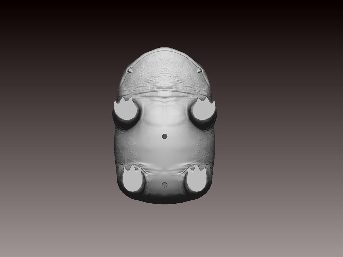 Pokémon Pot de fleur Fichier dimpression 3D stl Etsy France