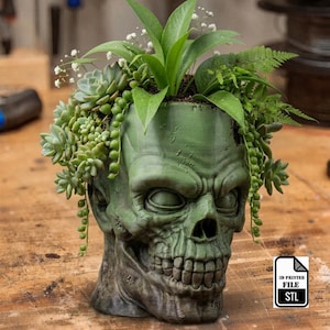 May include: A green, skull-shaped planter containing various succulents and small green plants. The object features a detailed, textured surface resembling a human skull. A small black and white icon displays the text 3D PRINTER FILE STL.