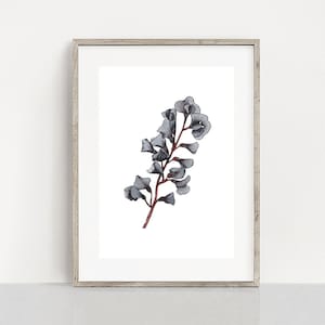 Australian Flora, Botanical Art Print, Wildflower Art Print, Purple Coral - Pea, Home Decor, A5 Art Print