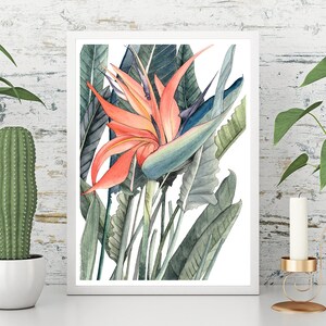 Tropical Flower, Bird of Paradise, Botanical Art Print, Wall Decor, Indoor Garden Art, A4 Art Print