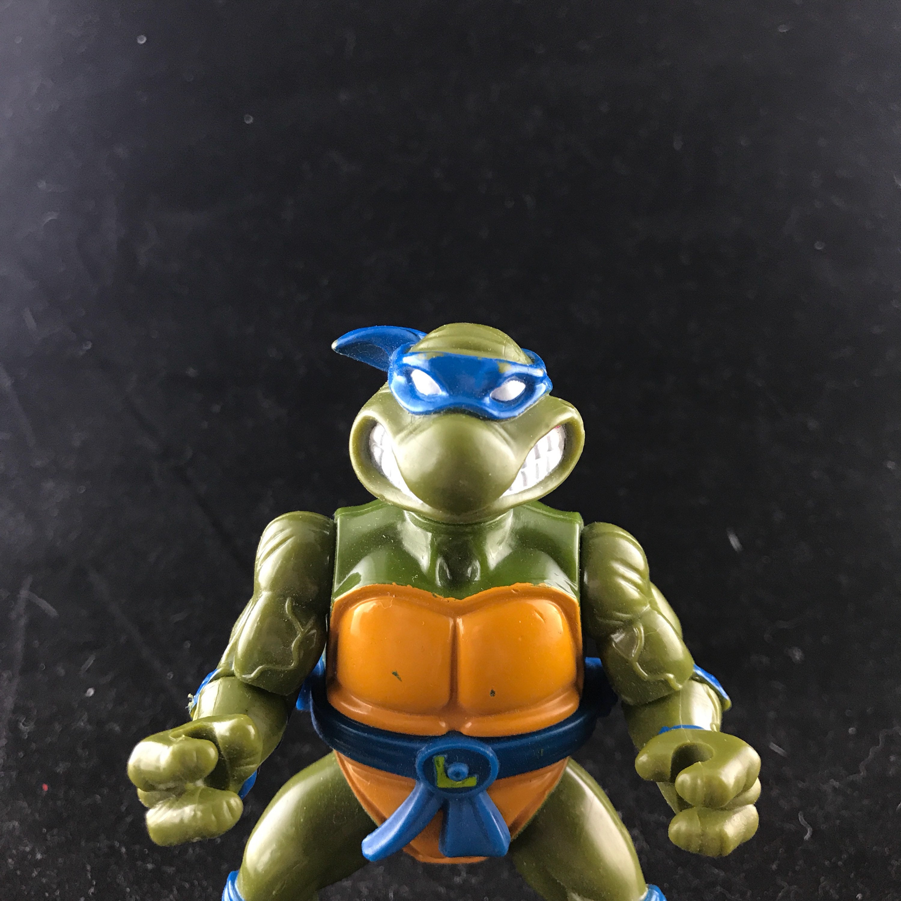 tmnt storage box