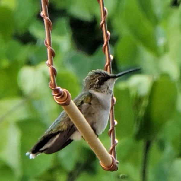 Columpio para colibríes, percha para colibríes cerca del comedero, columpio de cobre para colibríes, accesorio para comedero de colibríes, regalo para amantes de las aves, observación de aves en el jardín.