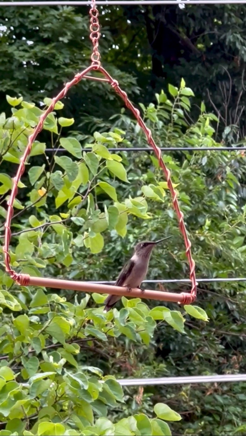 May include: A small hummingbird with grey and brown feathers perched on a copper-coloured metal swing. The swing features a triangular frame made of twisted copper wire and a horizontal perch bar, suspended by a small metal chain at the top.