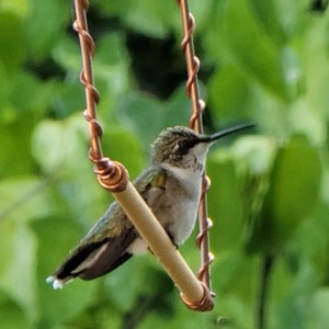 Hummingbird Swing – Handmade Copper Bird Perch – Bird Feeder Accessory, Garden Gift for Bird Lovers, Seniors, Anyone with Limited Mobility