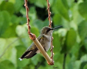 Hummingbird Swing: Copper Hummingbird Swing - Hang it Up and Watch the Birds!"