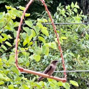 May include: A small hummingbird with brownish-grey plumage perched on a triangular copper swing. The swing is constructed from a single horizontal copper rod and two angled copper wires wrapped in a spiral pattern, suspended by a metal chain.