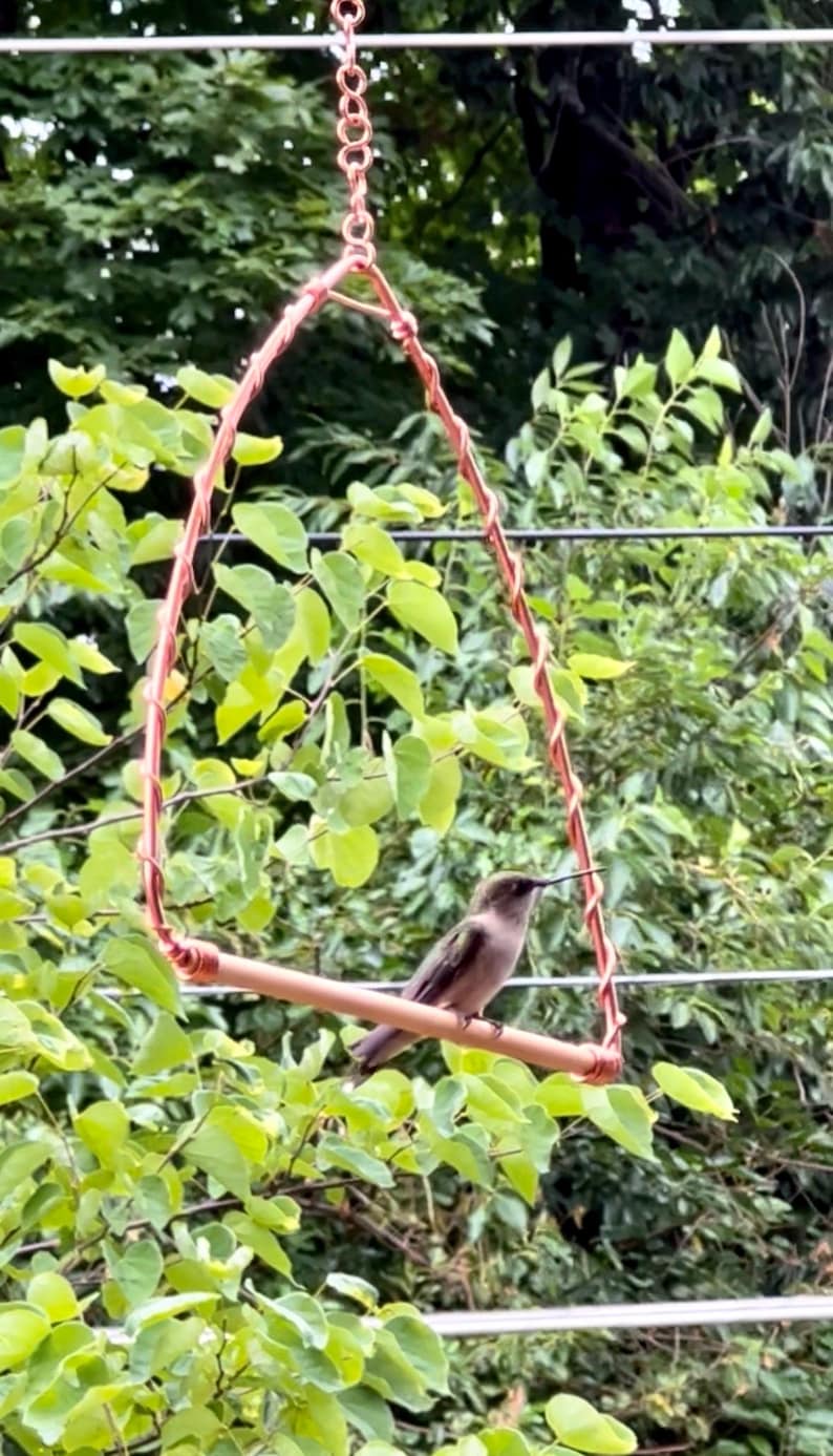 May include: A small hummingbird with brownish-grey plumage perched on a triangular copper swing. The swing is constructed from a single horizontal copper rod and two angled copper wires wrapped in a spiral pattern, suspended by a metal chain.
