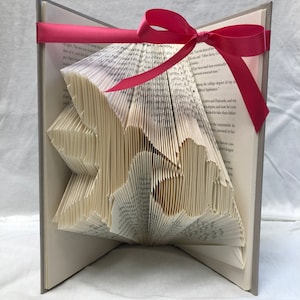 Hummingbird Book