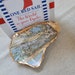 Custom Oyster Shell with favorite Port/Harbor/Inlet or Island displays US NOAA Charts, Perfect Wedding or Anniversary gift, Graduation Gift 